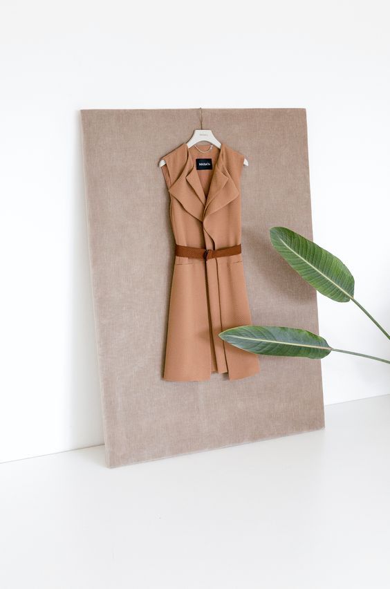 a coat hanging on a wall next to a plant