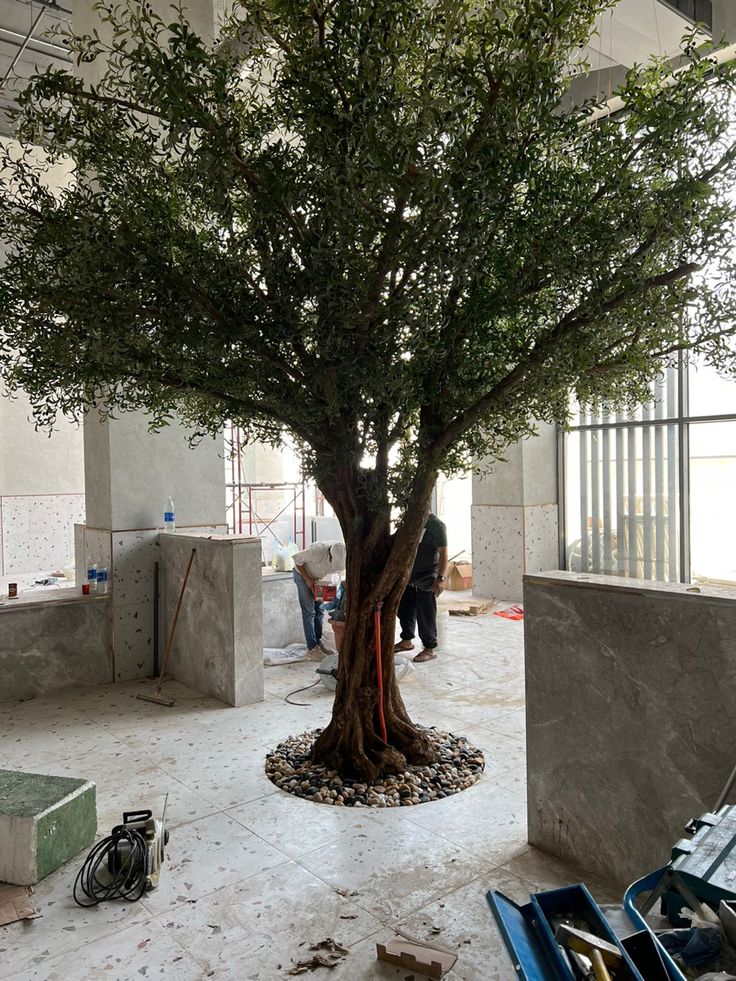 a large tree sitting in the middle of a room with concrete walls and flooring