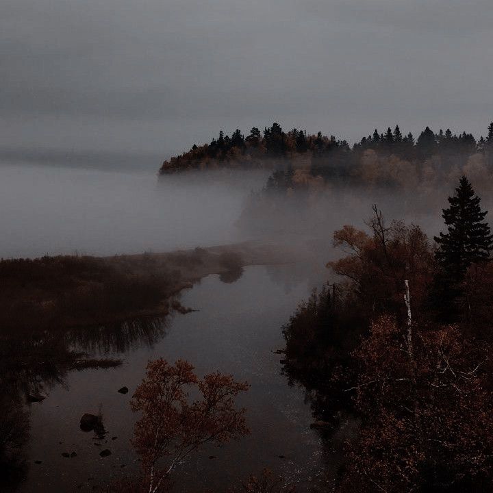 an image of fog in the air and trees on the ground with water running through it