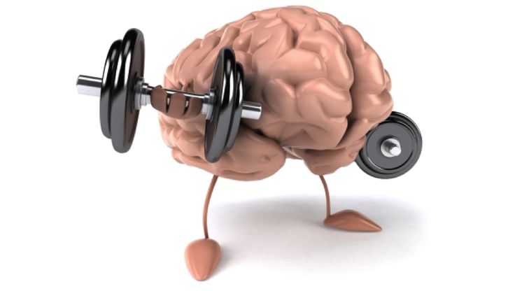 Are you minding your muscles? My tips for Mind-Muscle Connection to stay safe and get the most out of your workouts. Don't waste another workout! http://howdoigetripped.com/mind-your-muscles/ Green Tea Benefits, Muscle Memory, Mentally Strong, Mental Strength, Brain Power, Improve Memory, Brain Training, Brain Health, Healthy Mind