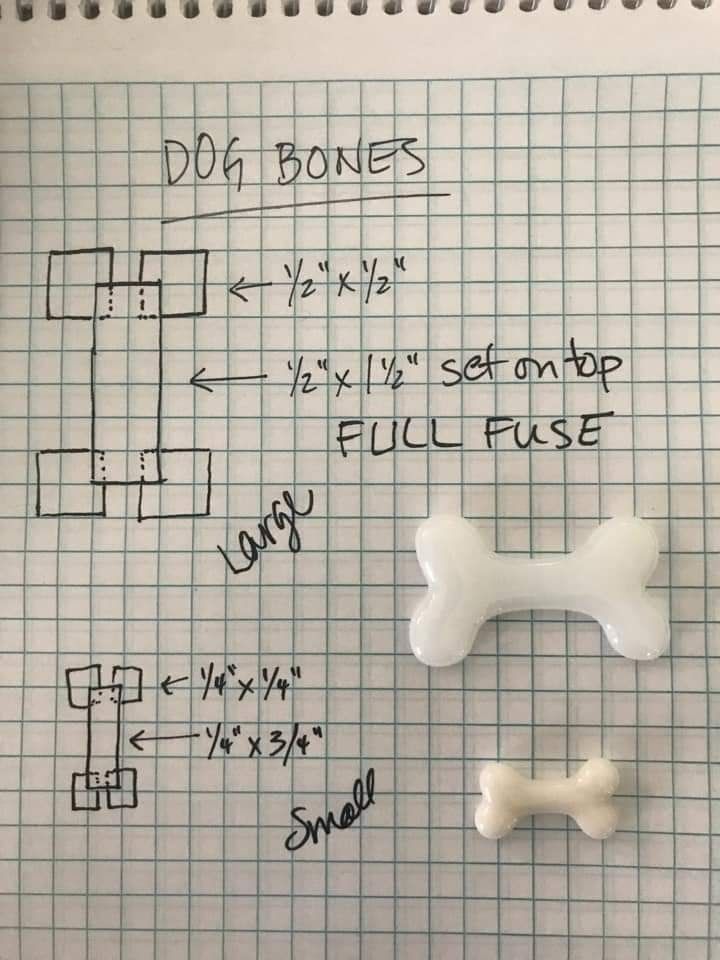 two plastic bone pieces on top of a piece of graph paper with words written below them