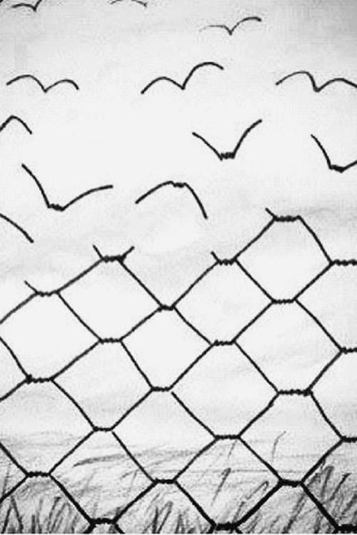 a black and white photo of birds flying over a wire fence with the sky in the background