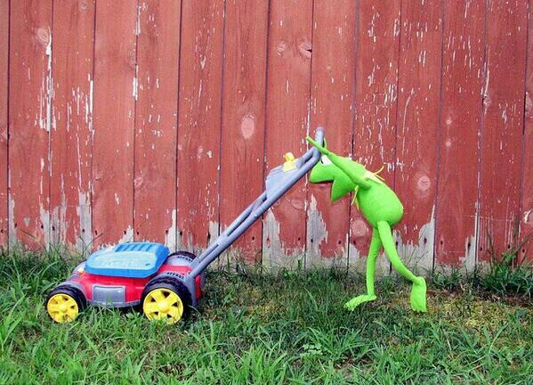 a green frog pushing a red toy car in the grass next to a wooden fence