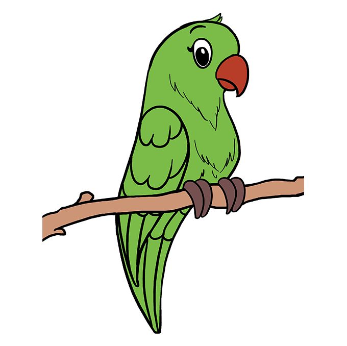 a green parrot sitting on top of a branch with a red beak and large eyes