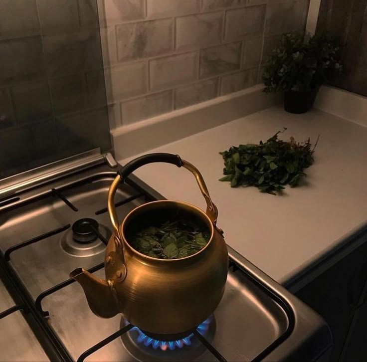 a tea pot sitting on top of a gas stove next to a green leafy plant