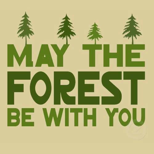 the words may the forest be with you