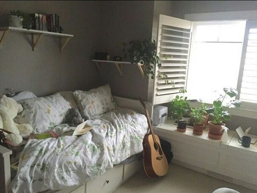 a bedroom with a guitar on the bed and plants in the window sill next to it