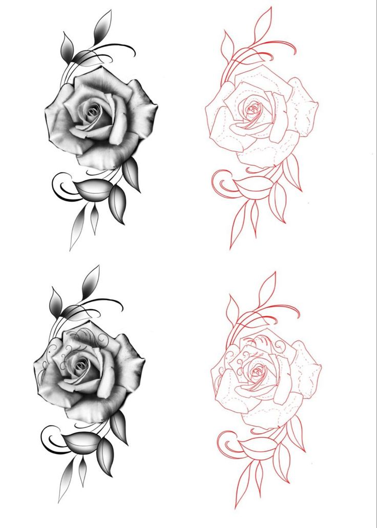 three roses with leaves on each side and one flower in the middle, all drawn by hand