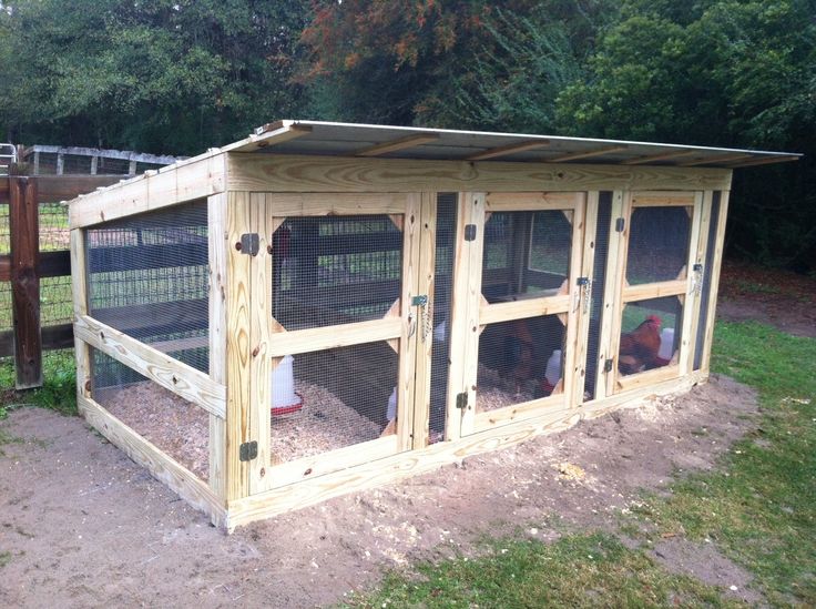 an outdoor chicken coop with three chickens in it