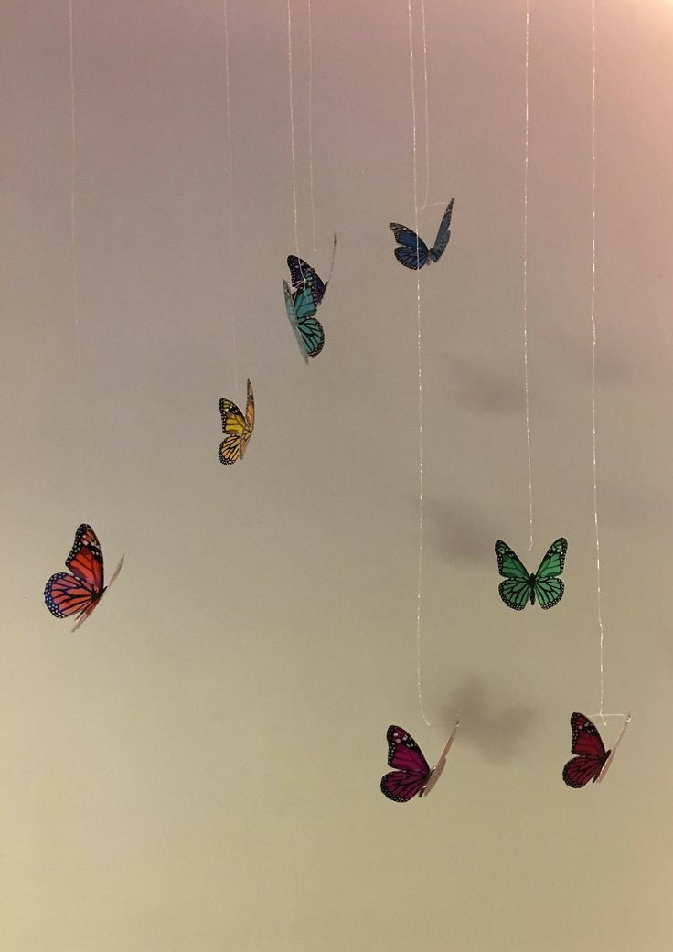 there are many butterflies hanging from the strings