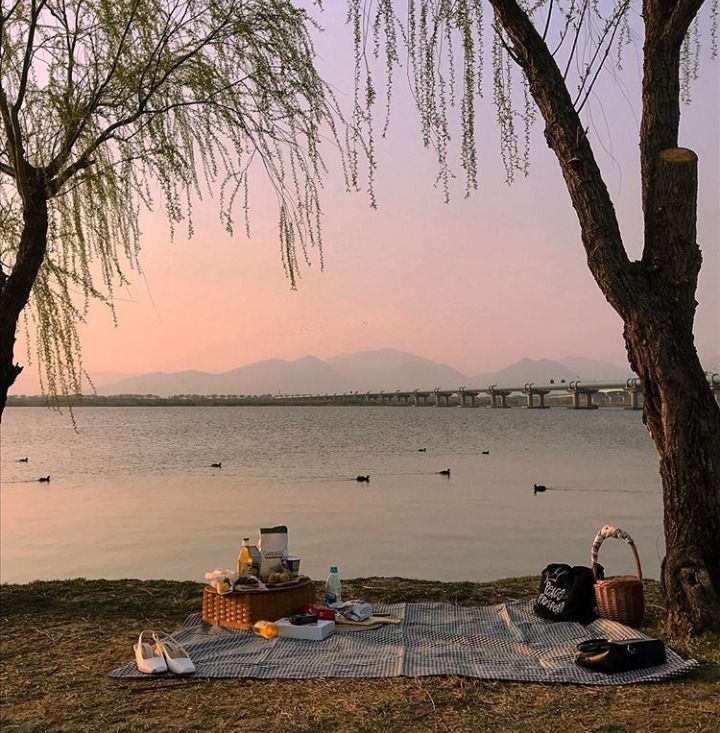 a picnic is set up on the bank of a lake