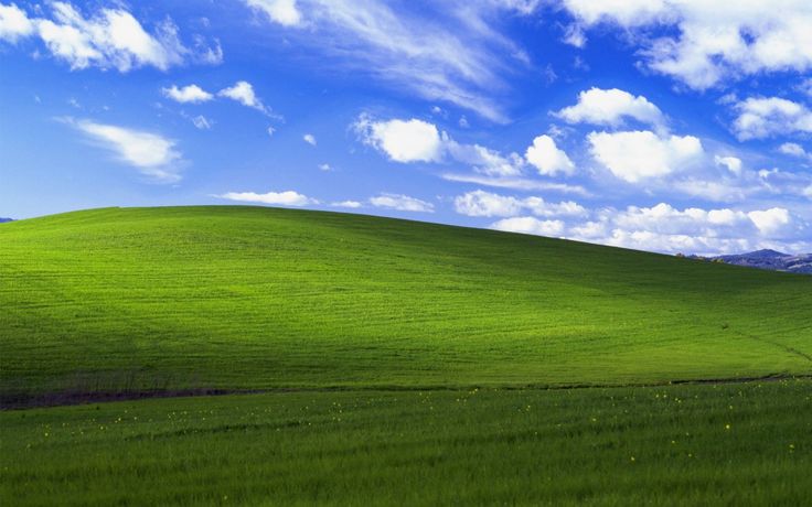 a green field with blue sky and clouds in the background on a sunny day,