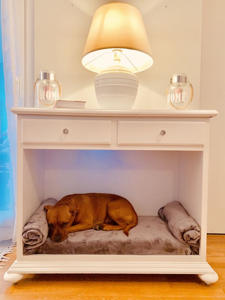 a brown dog laying on top of a bed under a table