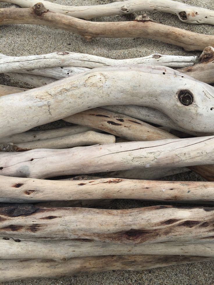 some driftwood sticks laying on the sand