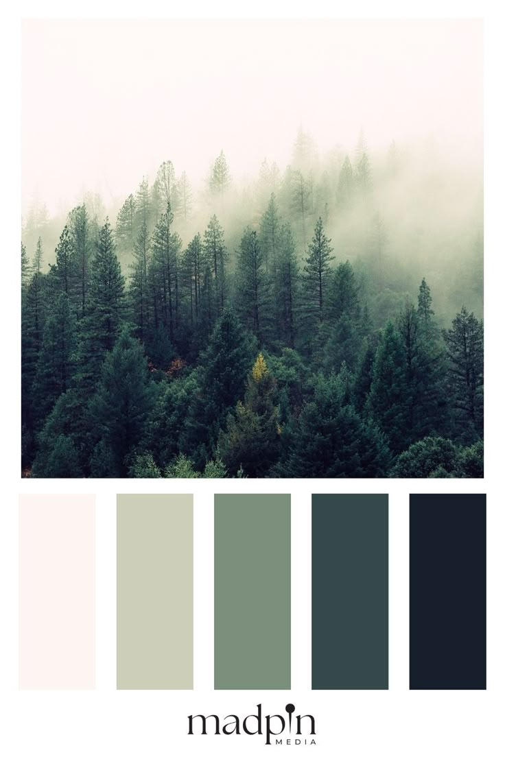 the color palette is made up of trees and fog