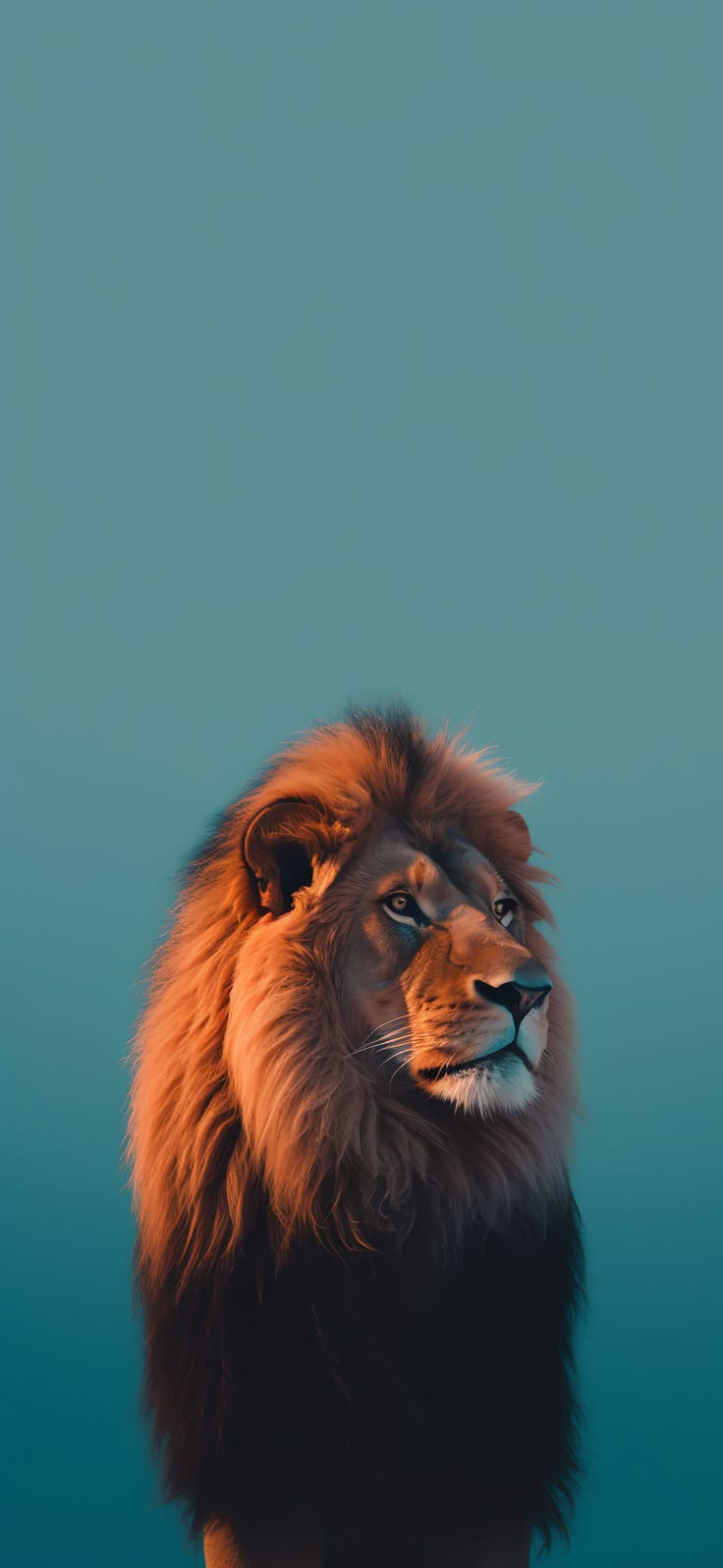 a lion standing in front of a blue sky with its head turned to the side