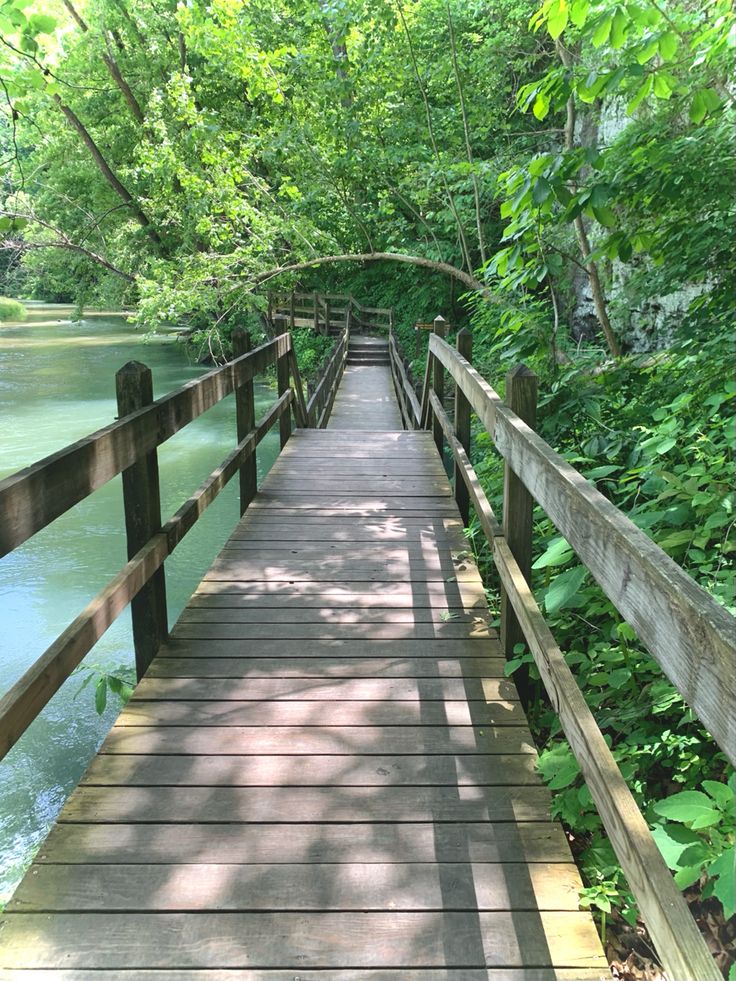 a wooden bridge over a river surrounded by trees