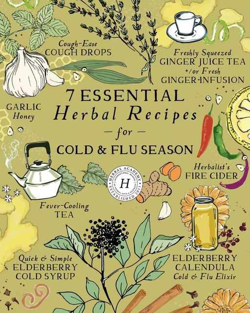 an illustrated poster with herbs and spices on it