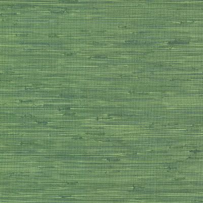 a green wallpaper with vertical stripes