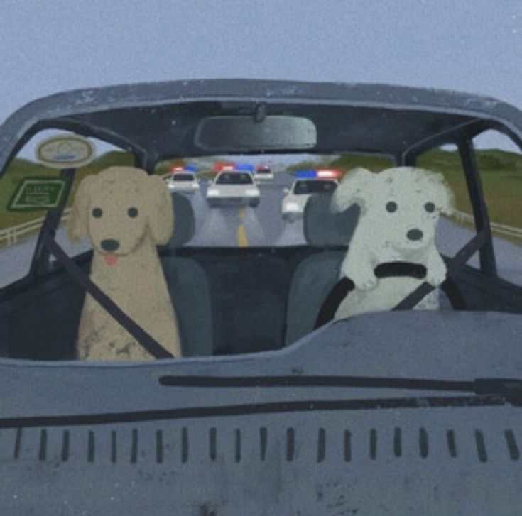 two dogs sitting in the passenger seat of a car