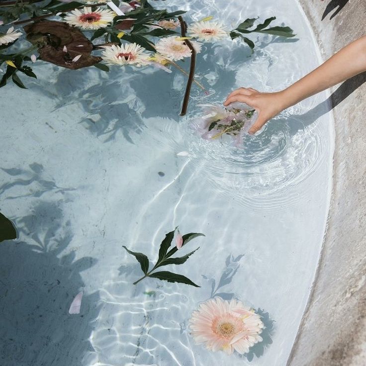 a person reaching for some flowers in the water