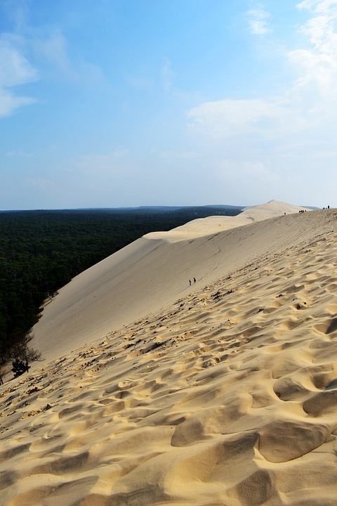 sand dunes with trees in the distance