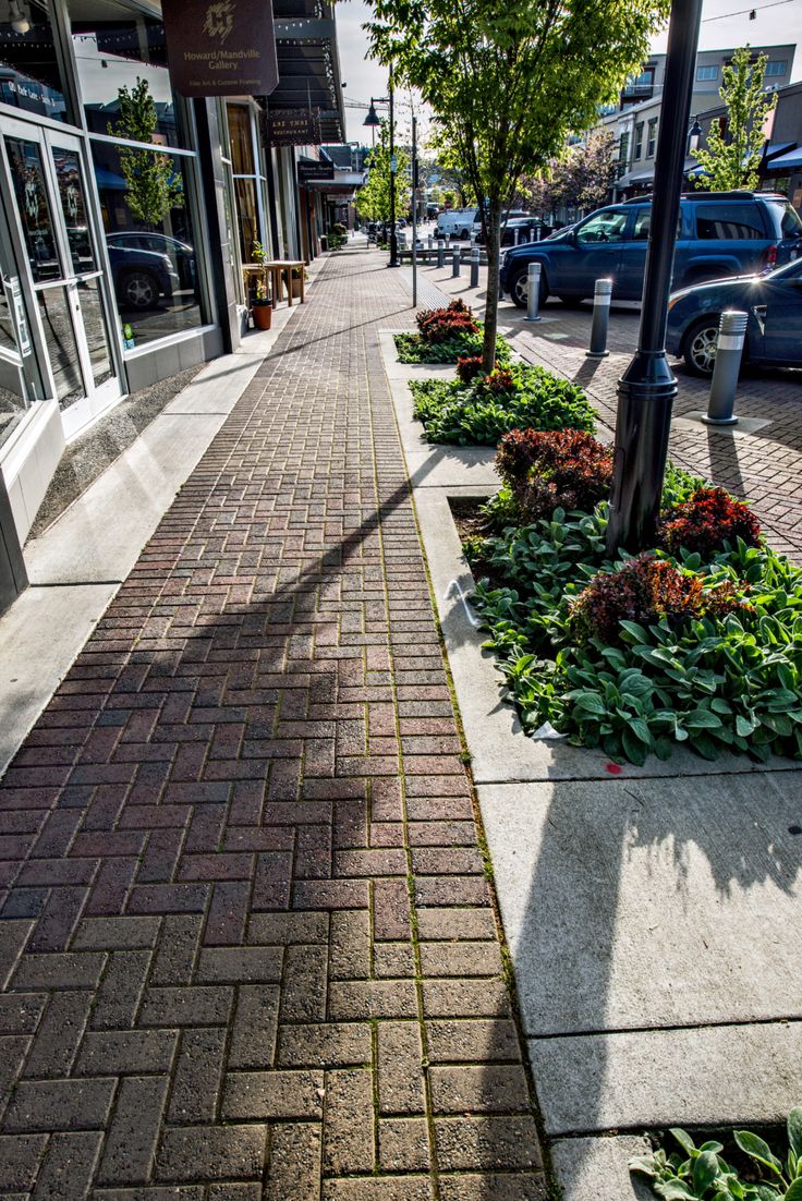 the sidewalk is lined with plants and flowers