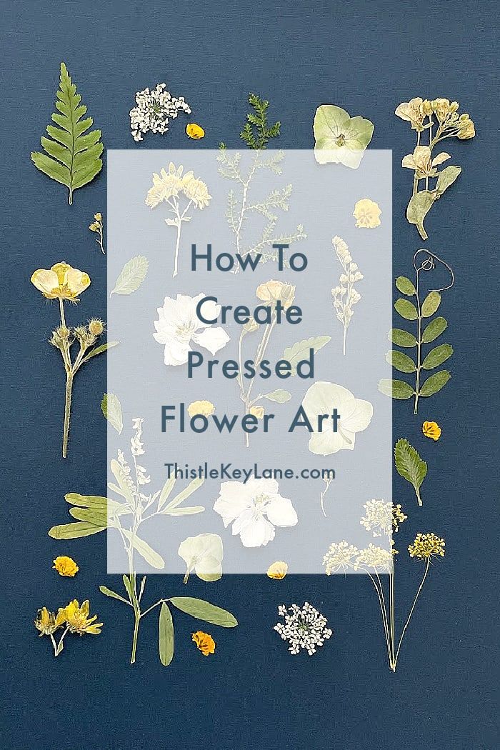 how to create pressed flower art with the title overlay that reads, how to create pressed flower art