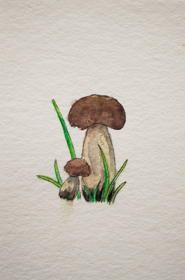 a drawing of two mushrooms in the grass