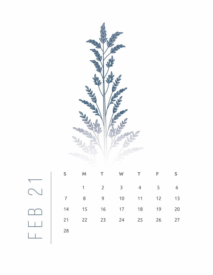 a calendar with a plant drawn on it's front page, and the date in the middle