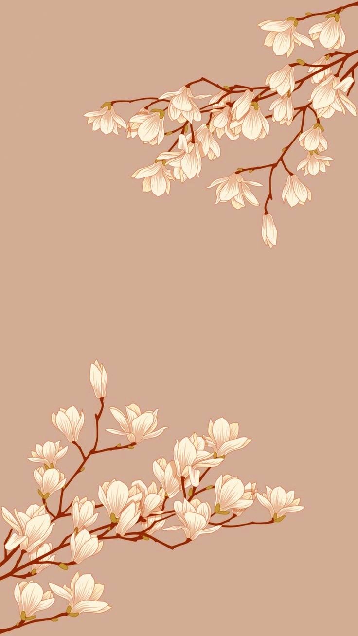 a branch with white flowers on it against a pink background