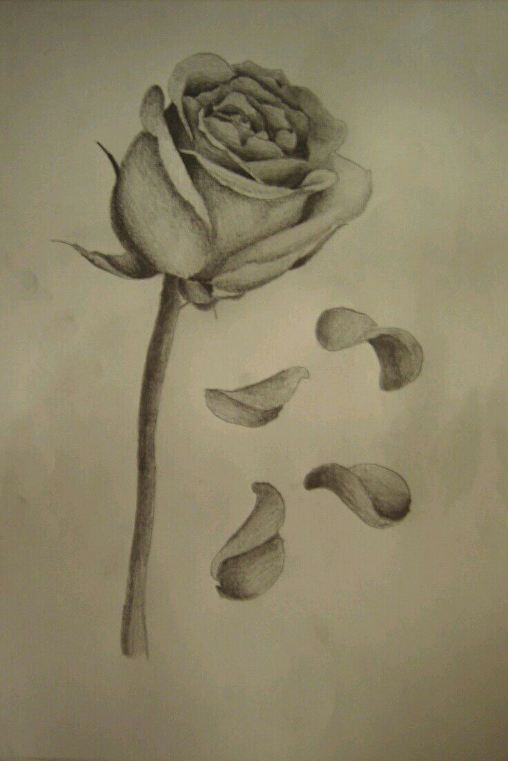 The Baker - Chapter 11: Touched - Wattpad Rose Petals Drawing, Rose Falling, Petals Tattoo, Memorial Tattoos Mom, Rose Petals Falling, Single Rose Tattoos, Rose Tattoo Meaning, Falling Petals, Rose Drawing Tattoo