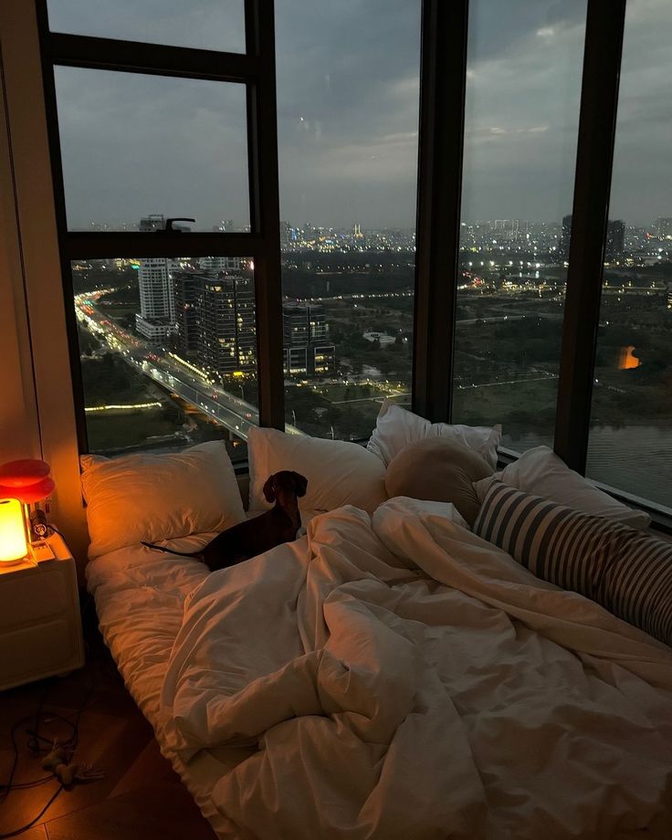 a dog is laying on a bed in front of a large window with city lights