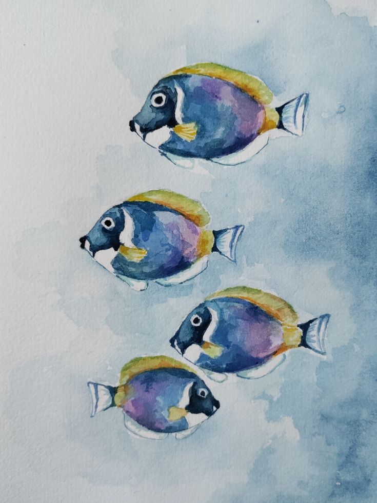 three blue and yellow fish swimming in the ocean watercolor on paper, 8 x 12 inches