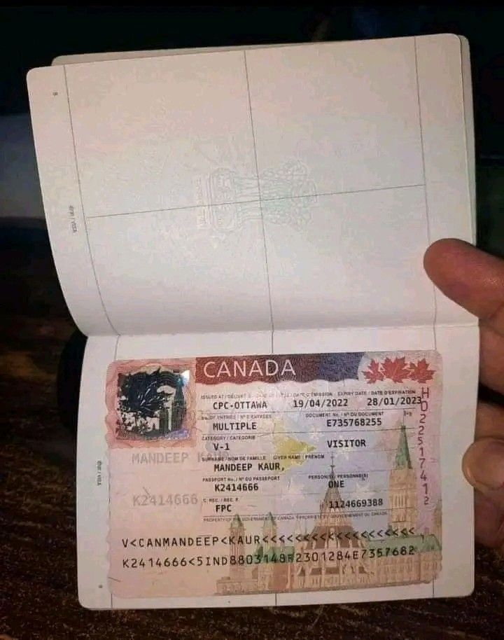 a person holding up a canadian visa card