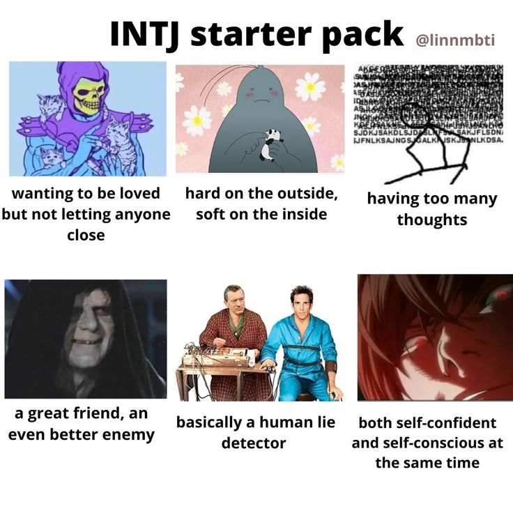 Enfj And Intj, Intj And Entp, Intj Funny, Intj Core, Intj Things, Intj Problems, Intj Characters, Intj Humor, Intj Enfp