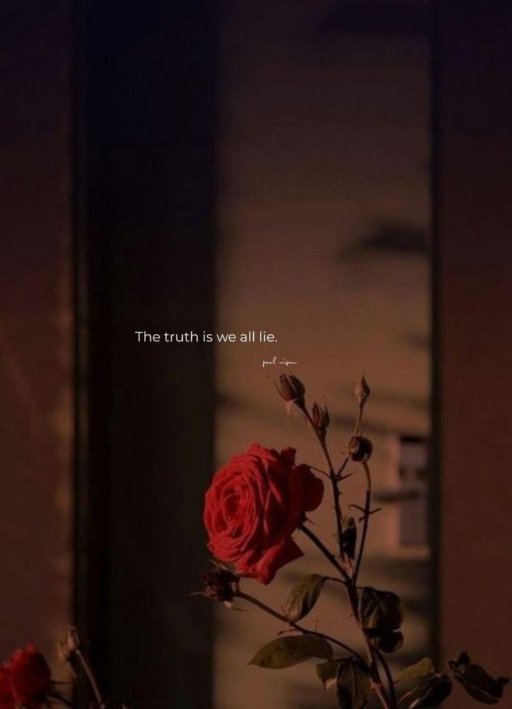 a vase filled with red roses sitting on top of a table