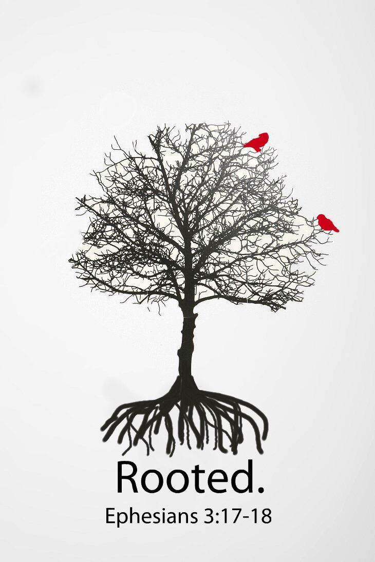 two red birds sitting on top of a tree with roots and the words rooted ephesians 31 - 17