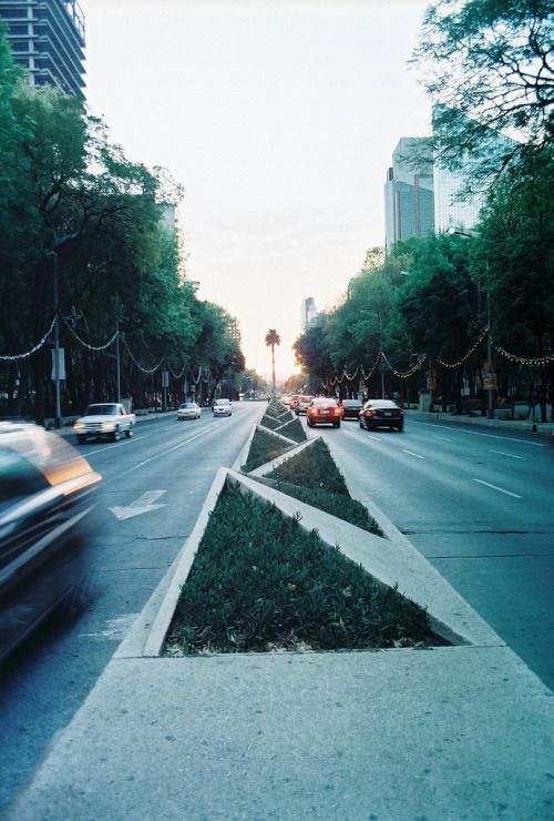 cars are driving down the street in front of some trees and grass on the sidewalk