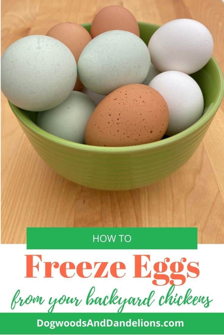 a bowl filled with eggs sitting on top of a wooden table next to text overlay that reads how to freeze eggs from your backyard chickens