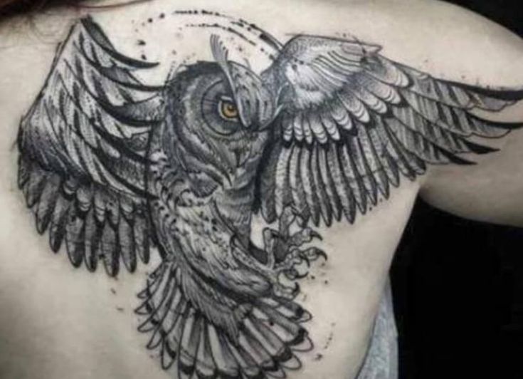 an owl tattoo on the back of a woman