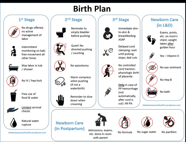 the birth plan is shown with instructions on how to use it