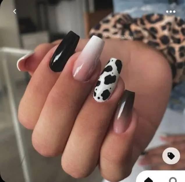 Black And White Ombre, Cow Nails, White Ombre, Cute Cows, Cow Print, Black Nails, Cow, Nail Art, Black And White