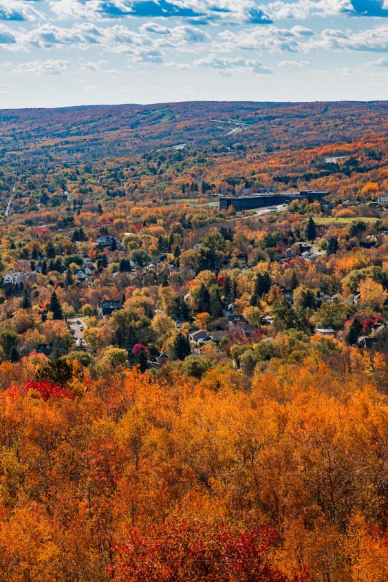 an autumn scene with trees in the foreground and houses in the distance, surrounded by foliage