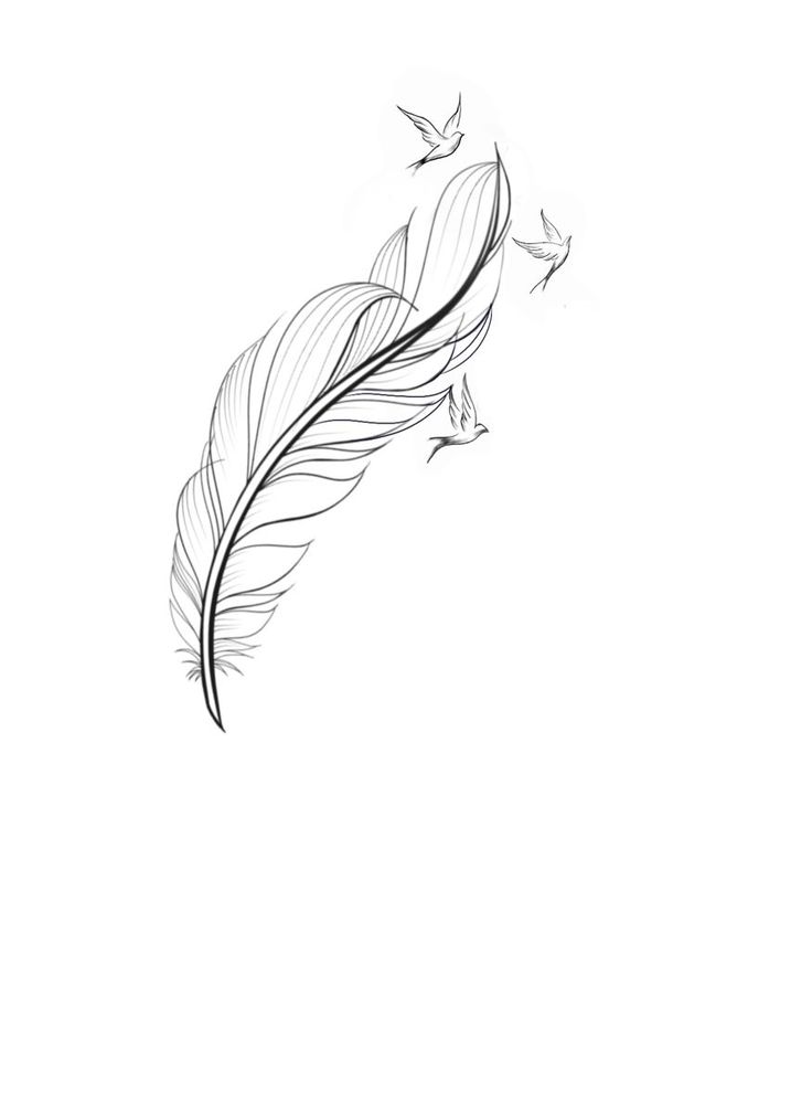 a black and white drawing of a feather with birds flying around it on a white background