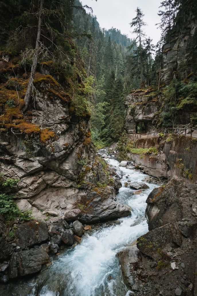 a river running through a forest filled with lots of rocks and trees on top of it