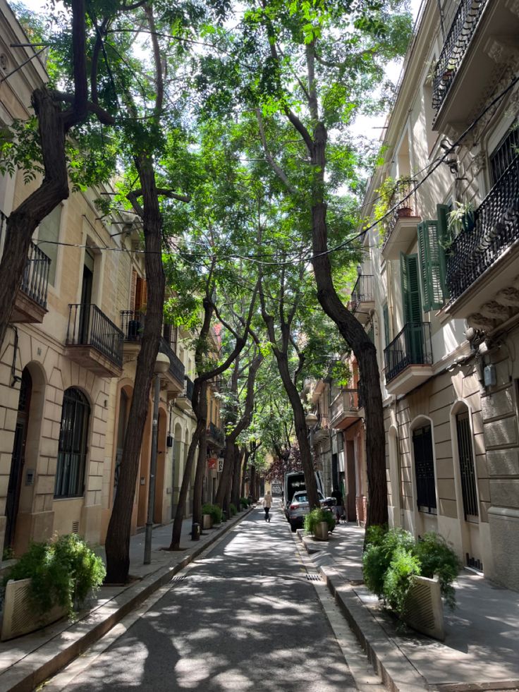 an empty street lined with trees and buildings