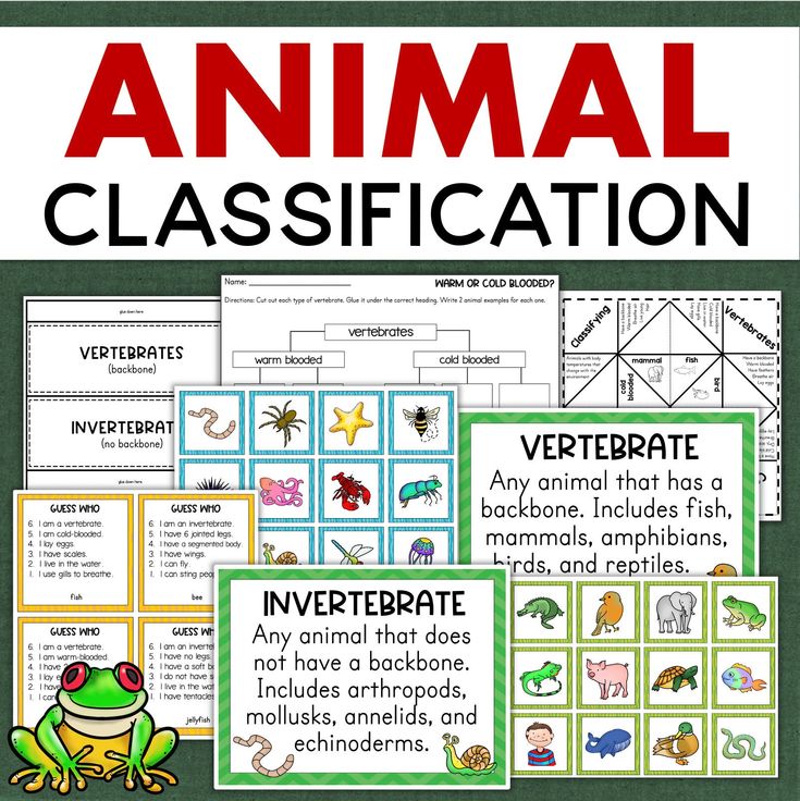 an animal class project with pictures and text