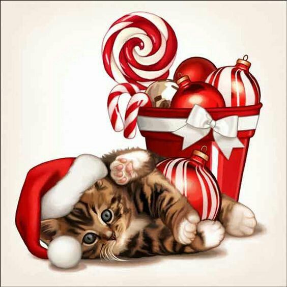 a kitten laying on its back next to christmas decorations and gifts, with the caption merry kitty