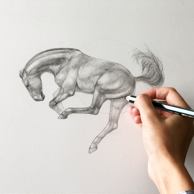 a person is drawing a horse with a pencil on the paper and it looks like they are jumping